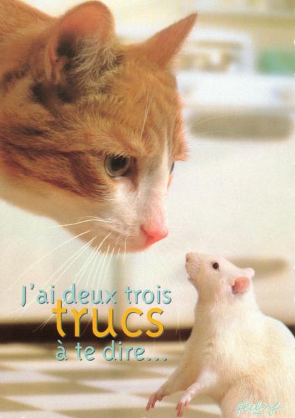 Tout ce dire?